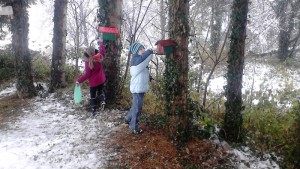 7.a Hranjenje vikendom